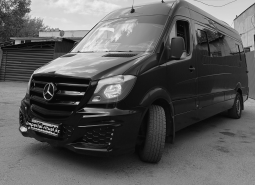 Sprinter 2010